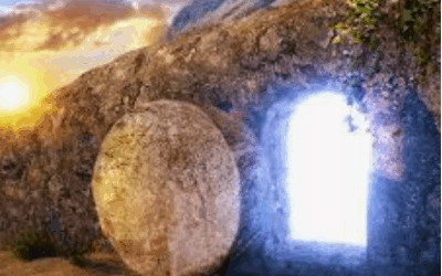 Ley de Vida: Resurrección